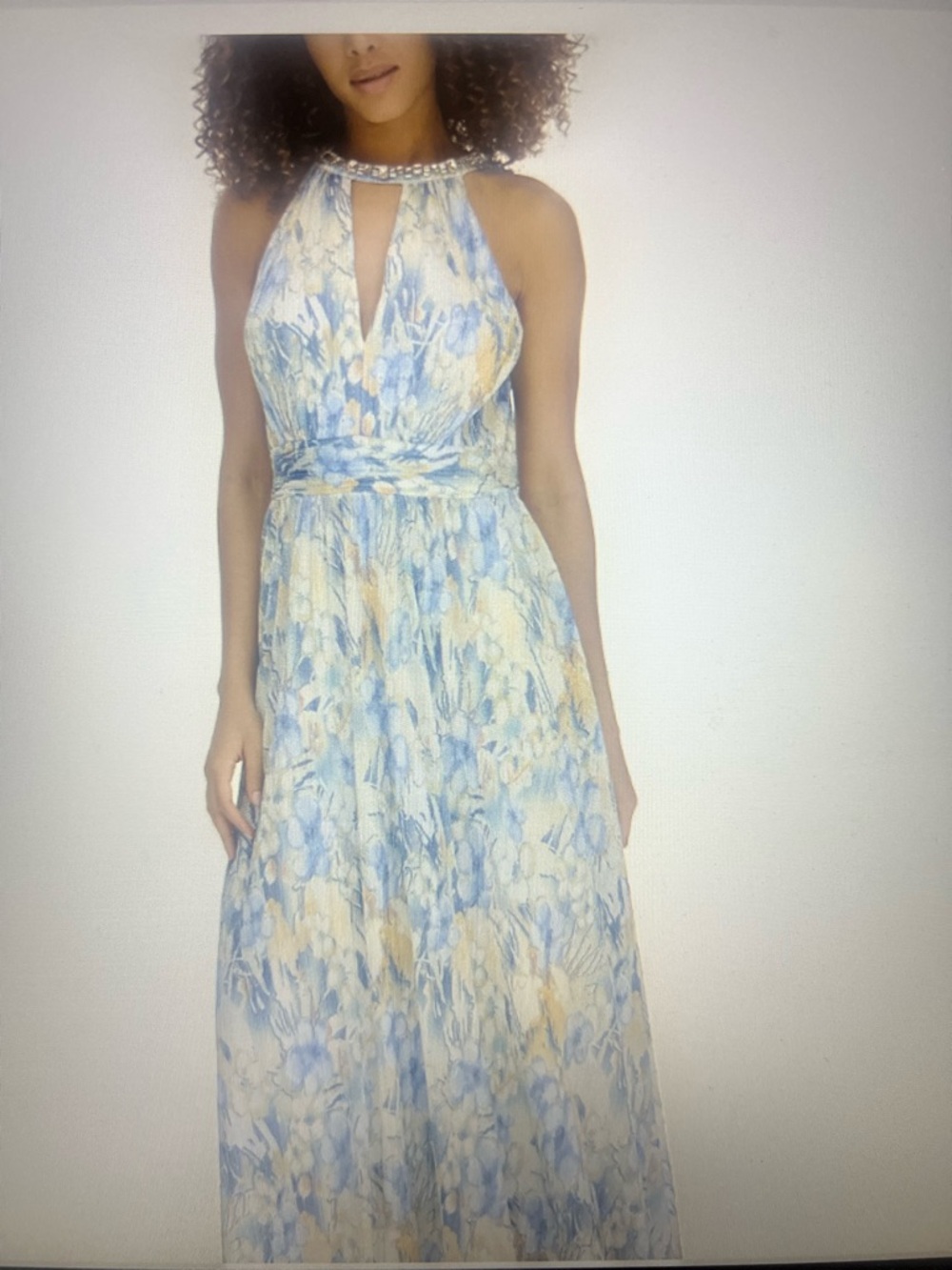 NWT Eliza J Sleeveless Halter Floral Maxi Dress in Blue and Cream Jewel Collar 1